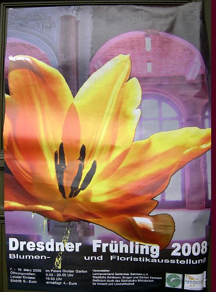 2008-03-07, Frühling im Palais (1).JPG